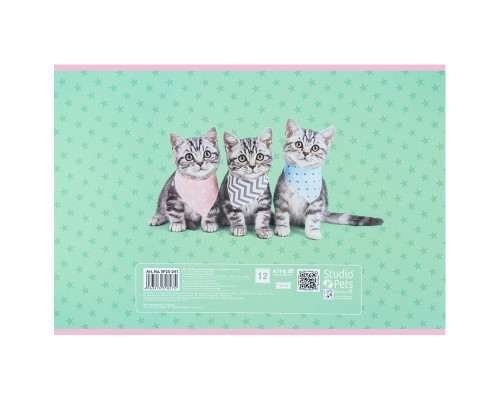 Альбом для малювання Kite Studio Pets, 12 аркушів (SP25-241)