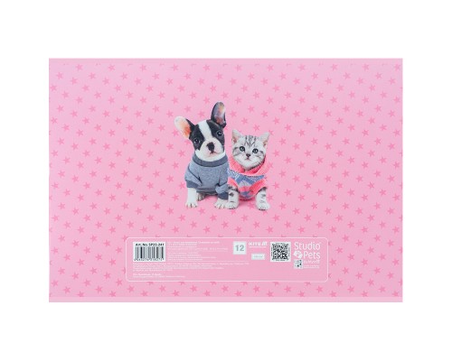 Альбом для малювання Kite Studio Pets, 12 аркушів (SP25-241)
