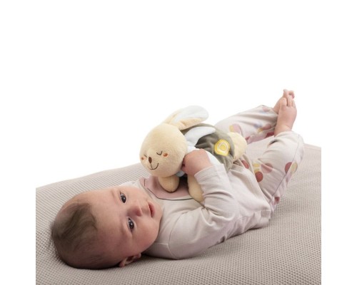 М'яка іграшка Chicco грілка Тепле зайченя Dou Dou (12161.00)