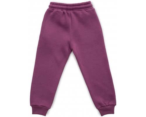 Штани дитячі Cloise спортивні на флісі (CL0154012-152G-purple)