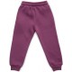 Штани дитячі Cloise спортивні на флісі (CL0154012-152G-purple)
