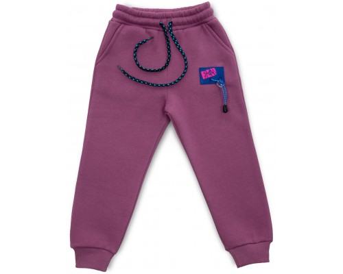 Штани дитячі Cloise спортивні на флісі (CL0154012-152G-purple)