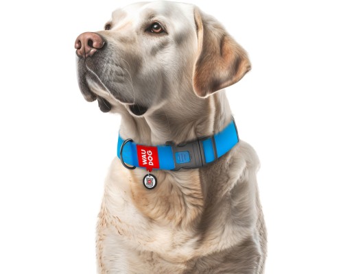 Нашийник для тварин WAUDOG Waterproof з QR паспортом пластиковий фастекс XXL блакитний (25112)