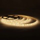 Світлодіодна стрічка LED-STIL 3000K 9,6 Вт/м 2835 120 діодів IP65 12 Вольт 800 lm тепле світло (DFN2835-120A3-IP65)