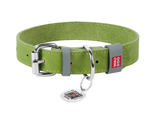 Нашийник для тварин WAUDOG Classic шкіряний 12 мм х 21-29 см салатовий (02025)