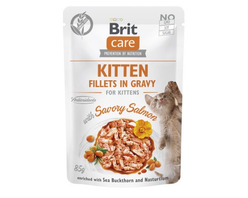 Вологий корм для кішок Brit Care Cat Fillets in Gravy with Savory Salmon філе в соусі з лососем 85 г (8595602565313)