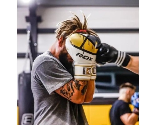 Боксерські рукавички RDX F7 Ego Golden 8 унцій (BGR-F7GL-8oz)