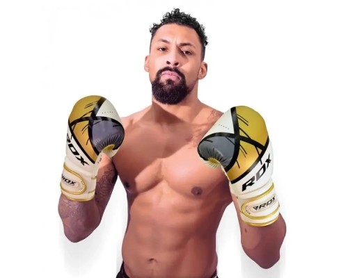 Боксерські рукавички RDX F7 Ego Golden 8 унцій (BGR-F7GL-8oz)