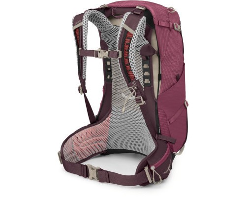 Рюкзак туристичний Osprey Sirrus 24 elderberry purple/chiru tan O/S (009.3593)