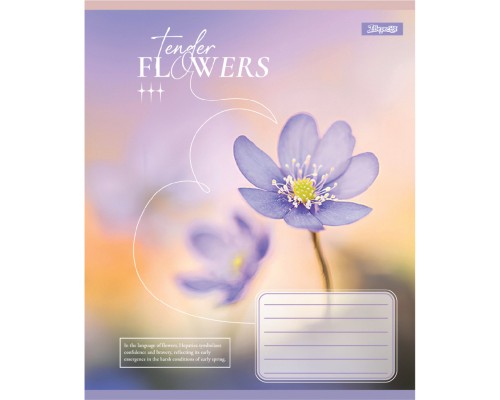 Зошит 1 вересня Tender Flowers А5 12 аркушів коса лінія (768073)
