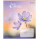 Зошит 1 вересня Tender Flowers А5 12 аркушів коса лінія (768073)
