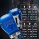 Боксерські рукавички Leone GN208 Iconic Blue 12 унцій (GN208_Blue_12oz)