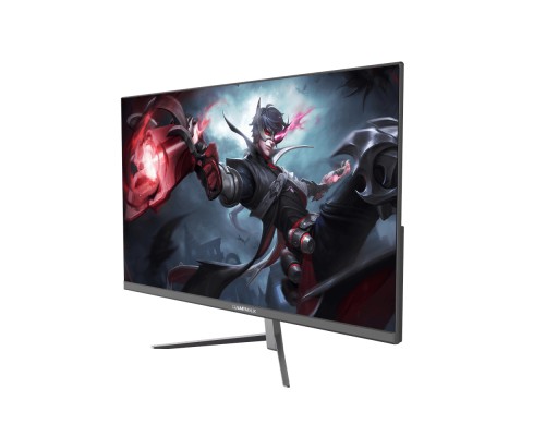 Монітор Gamemax GMX24F120