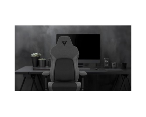 Крісло ігрове TX3 Core Smart Mesh Black (TEGC-2072101.11)