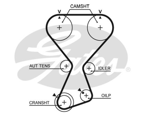 Ремінь ГРМ Gates T313