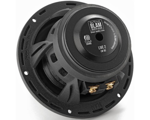 Середньочастотна акустика Blam LM80