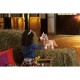 Інтерактивна іграшка Hasbro FurReal Friends Поні Сінамон серія (F4395)