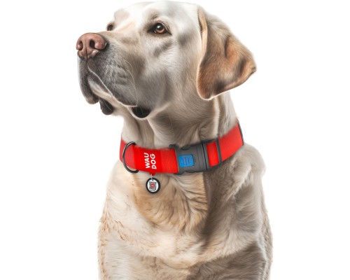 Нашийник для тварин WAUDOG Waterproof з QR паспортом пластиковий фастекс XXL червоний (25113)