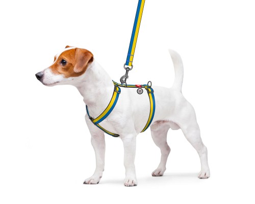 Шлея для собак WAUDOG Nylon з QR паспортом анатомічна 