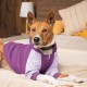 Толстовка для тварин Pet Fashion Lilac XS2 бузкова (4823082427789)