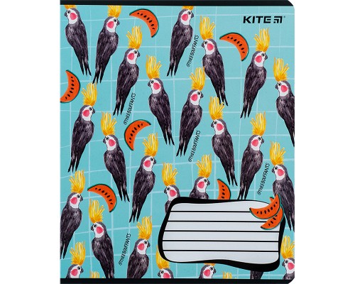 Зошит Kite BBH 18 аркушів, клітинка (K24-236-1)