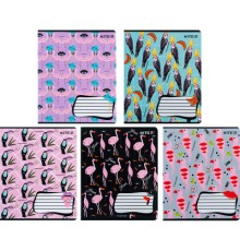 Зошит Kite BBH 18 аркушів, клітинка (K24-236-1)