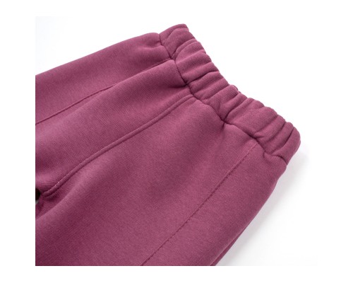 Штани дитячі Joi флісові (BE-801-86G-violet)