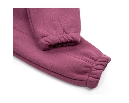 Штани дитячі Joi флісові (BE-801-86G-violet)