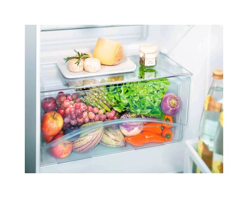 Холодильник Liebherr CTE2931