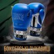 Боксерські рукавички Leone GN208 Iconic Blue 14 унцій (GN208_Blue_14oz)