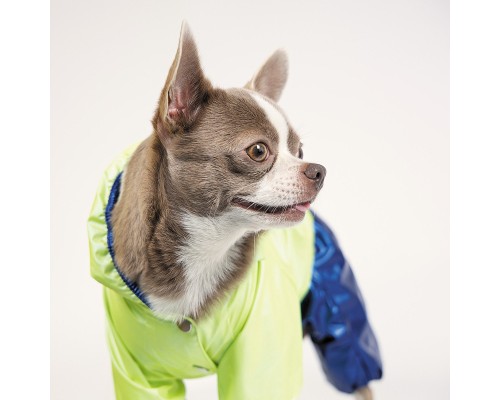 Дощовик для тварин Pet Fashion 