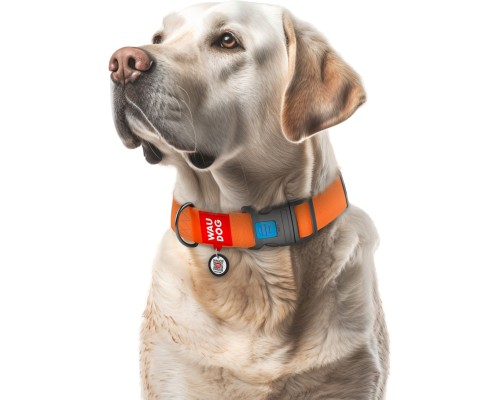 Нашийник для тварин WAUDOG Waterproof з QR паспортом пластиковий фастекс XXL помаранчевий (25114)