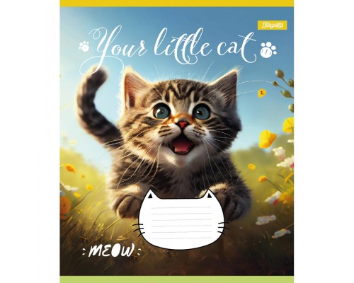 Зошит 1 вересня Your little cat 24 аркушів лінія (766653)