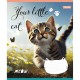 Зошит 1 вересня Your little cat 24 аркушів лінія (766653)