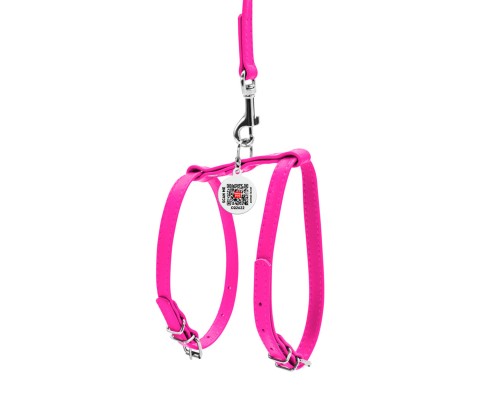 Шлея для собак WAUDOG Glamour з повідцем шкіряна Ш 12 мм А 25-33 см В 35-43 см рожева (34007)