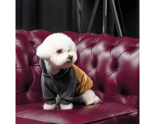 Толстовка для тварин Pet Fashion Rollie S (4823082427703)