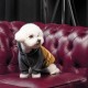 Толстовка для тварин Pet Fashion Rollie S (4823082427703)
