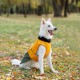 Попона для тварин Pet Fashion ROY 6XL хакі-гірчиця (4823082432806)
