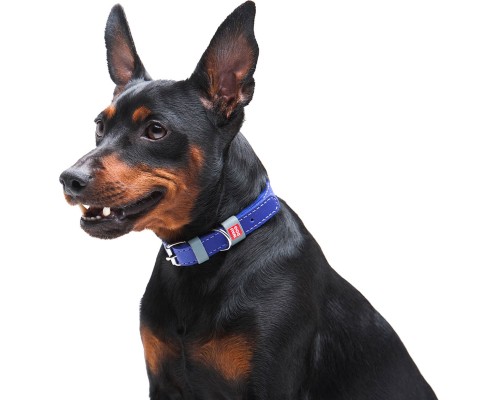 Нашийник для тварин WAUDOG Classic шкіряний 12 мм х 21-29 см фіолетовий (02029)