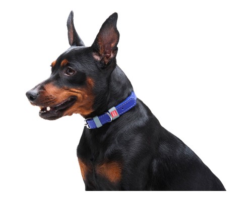 Нашийник для тварин WAUDOG Classic шкіряний 12 мм х 21-29 см фіолетовий (02029)