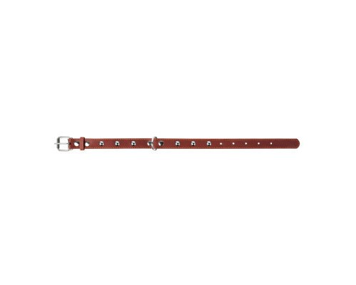 Нашийник для тварин Collar одинарний з прикрасами Ш 20 мм Д 32-40 см коричневий (01356)