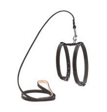 Шлея для собак Collar з повідцем для малих порід Ш 14 мм Д 122 см чорна (05471)
