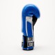 Боксерські рукавички Leone GN208 Iconic Blue 16 унцій (GN208_Blue_16oz)