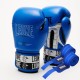 Боксерські рукавички Leone GN208 Iconic Blue 16 унцій (GN208_Blue_16oz)