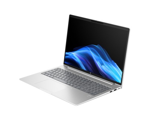 Ноутбук HP ProBook 4 G1a (C78GSET)