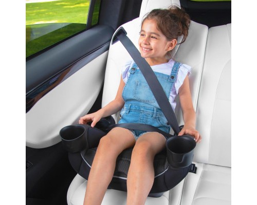 Автокрісло Evenflo EveryKid LX -  Livingstone (032884200016)