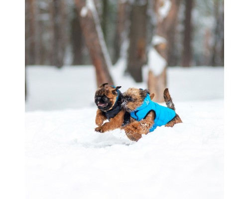 Курточка для тварин Airy Vest двостороння S 35 чорно-блакитна (1605)