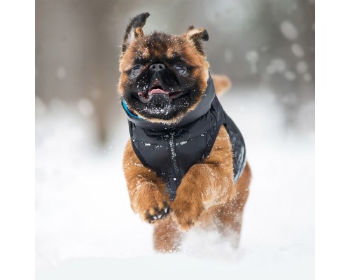 Курточка для тварин Airy Vest двостороння S 35 чорно-блакитна (1605)