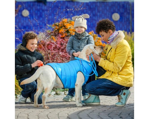 Курточка для тварин Airy Vest двостороння S 35 чорно-блакитна (1605)