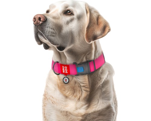 Нашийник для тварин WAUDOG Waterproof з QR паспортом пластиковий фастекс XXL рожевий (25117)